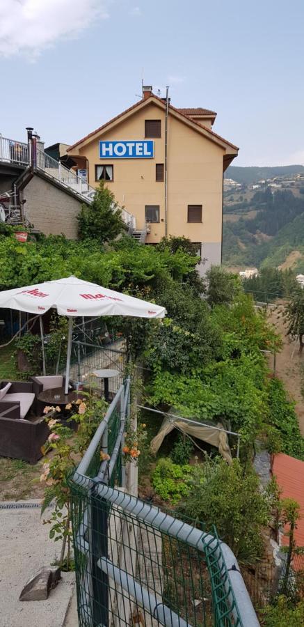Hotel Alina Cangas De Narcea Exterior foto